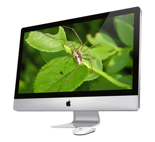 Fotogerçekçi bir iMac ve Magic Mouse Nasıl Oluşturulur