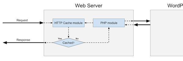 Caché HTTP del servidor web