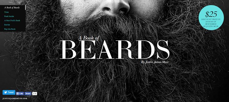 foto della homepage del libro di barbe