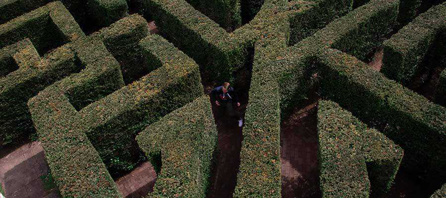 Une personne dans un labyrinthe de haies.