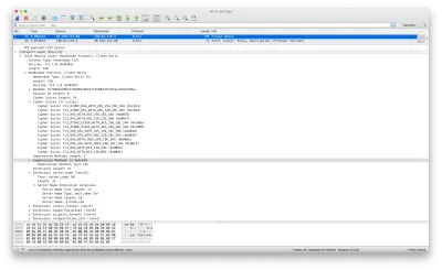 Скриншот вывода Wireshark