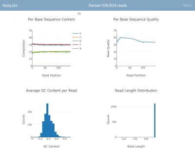 Gráficos interactivos que muestran las métricas del usuario para evaluar la calidad de sus datos