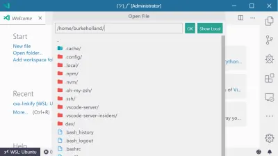 Представление VS Code «Открыть файл»