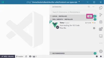 Представление «Расширения» в VS Code с выделенным значком «Установить все расширения в WSL»