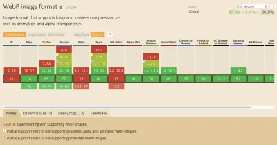 «Могу ли я использовать» данные о поддержке WebP