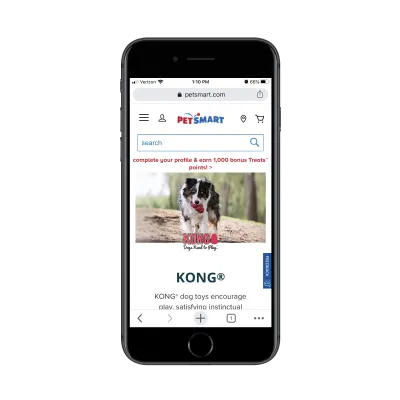 Page de catégorie PetSmart pour les jouets pour chiens kong