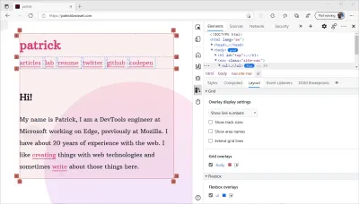 Edge DevTools 的屏幕截圖，頁面中突出顯示了 flex 和網格容器