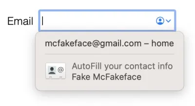 Captură de ecran cu sugestia de completare automată Safari, care arată e-mailul și sub profil