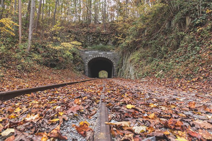 Wie man Herbstfarben mit Lightroom zum Knallen bringt