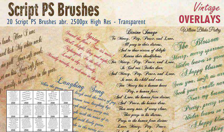 Script vintage antiguo adobe photoshop ps cepillo cepillos abr paquete conjunto gratis