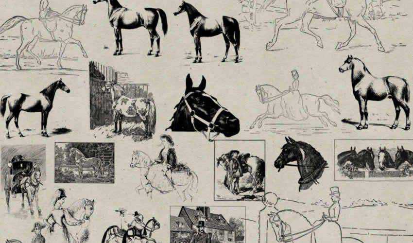 Vintage Horses Antik Adobe Photoshop PS Pinsel Pinsel abr Pack Set kostenlos