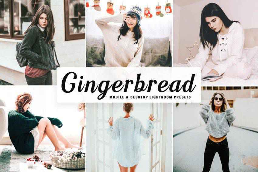 Preset Lightroom Gingerbread