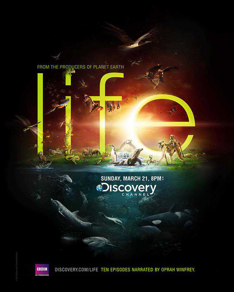 Discovery Channel - Hayata ilham veren tipografi basılı reklamlar