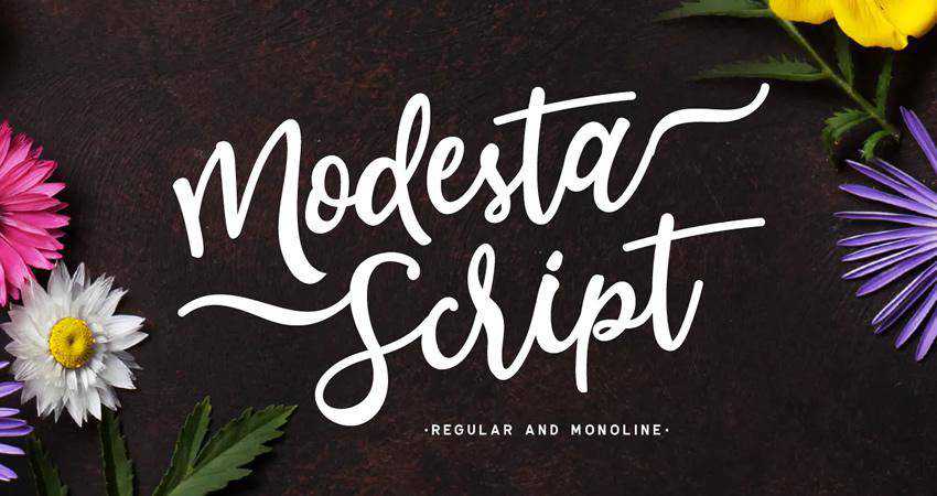 Modesta Script Font Duo