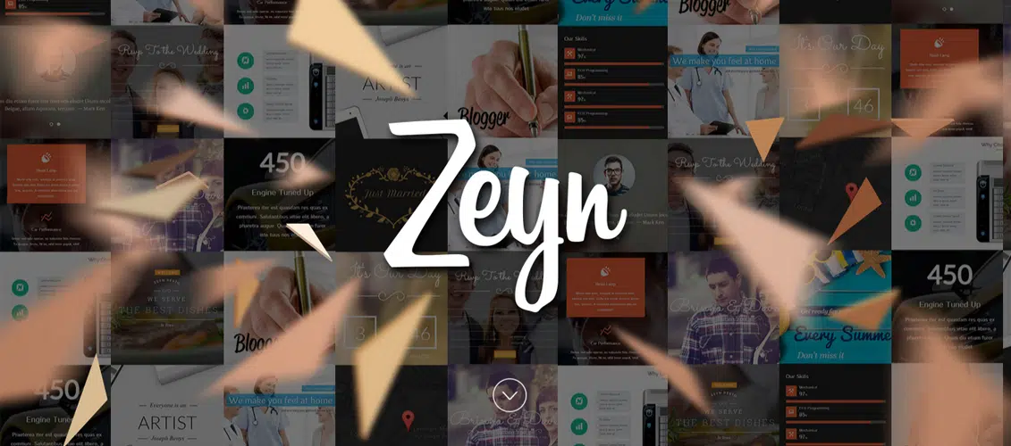 Zeyn - Temă multifuncțională WordPress