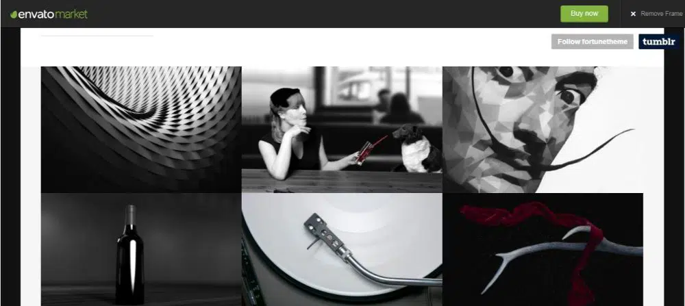 Fortune-Portfolio Tumblr Theme