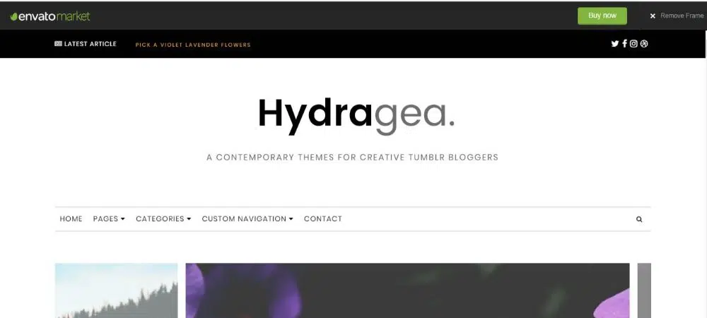 موضوع Hydragea