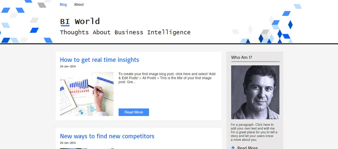 Blog Business Intelligence