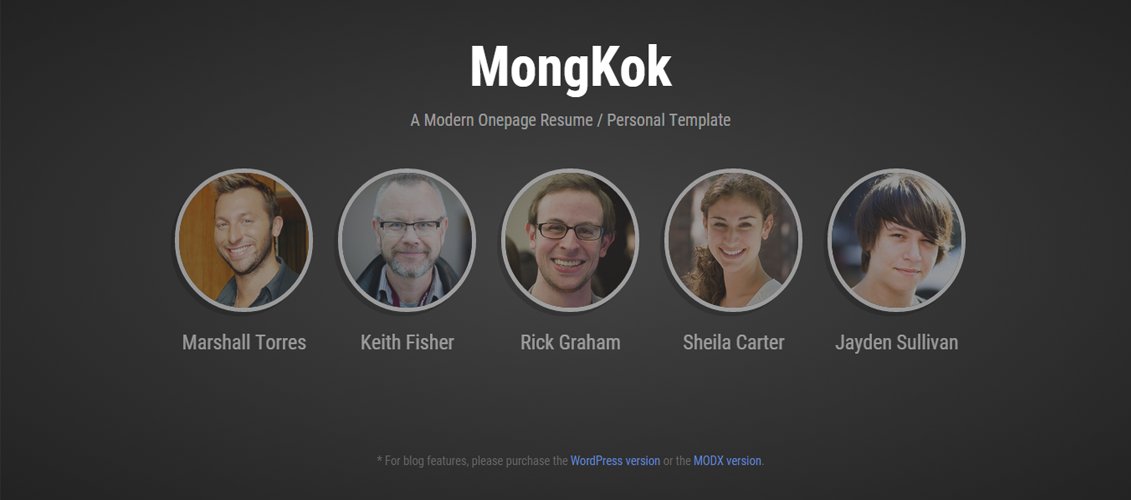 MongKok - Modern Onepage Resume 个人主题