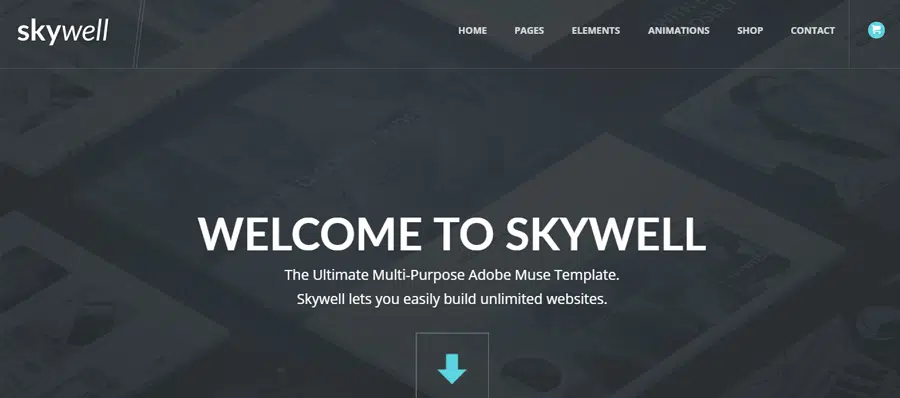 Teme compatibile Skywell Ecwid