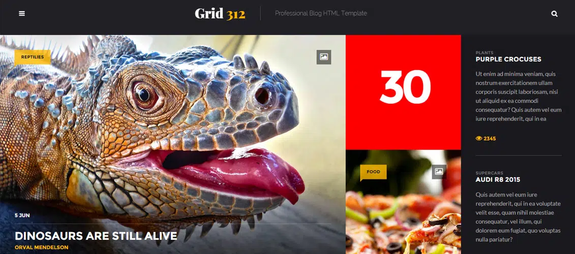 Grid312 个人 HTML 网站模板