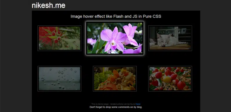 เอฟเฟกต์โฮเวอร์รูปภาพเซ็กซี่โดยใช้ CSS3