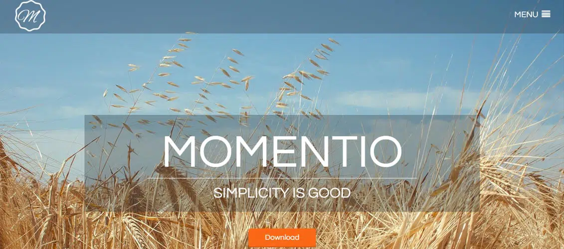 Momentio --- Бесплатная HTML-одностраничная веб-тема