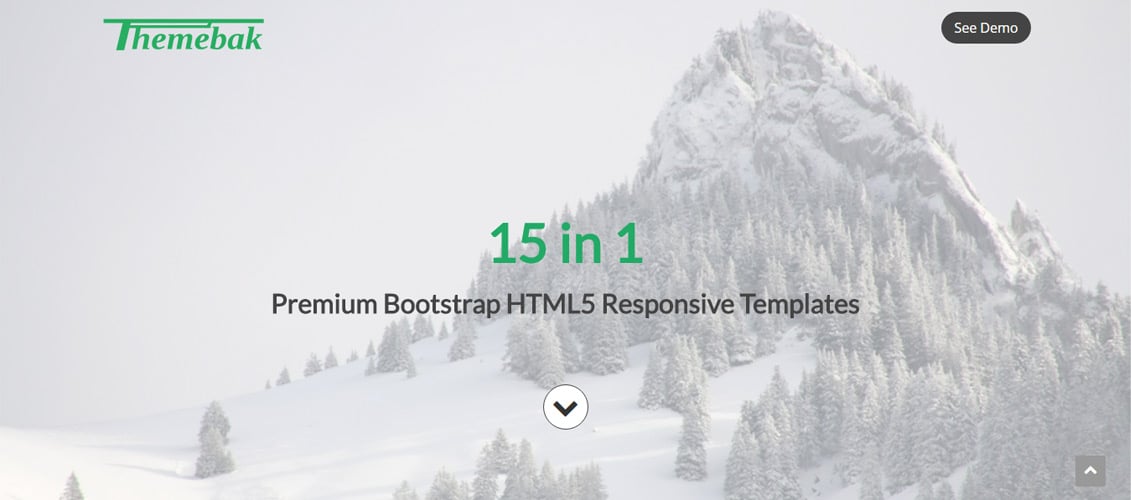 15-в-1 — Premium-Bootstrap-HTML5-Template-Pack