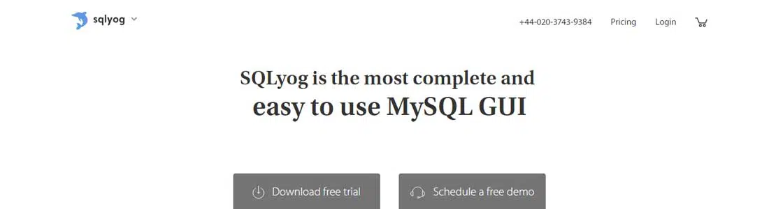 12-SQLyog