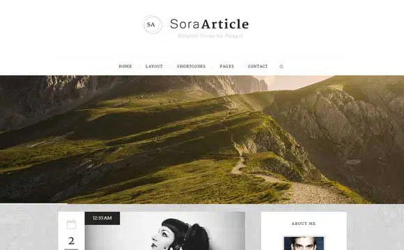 33-Sora-Artykuł-Blogger-Szablon