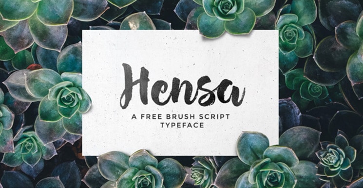 Hensa Free Brush Script Font _ GraphicBurger แบบอักษรพู่กันฟรี