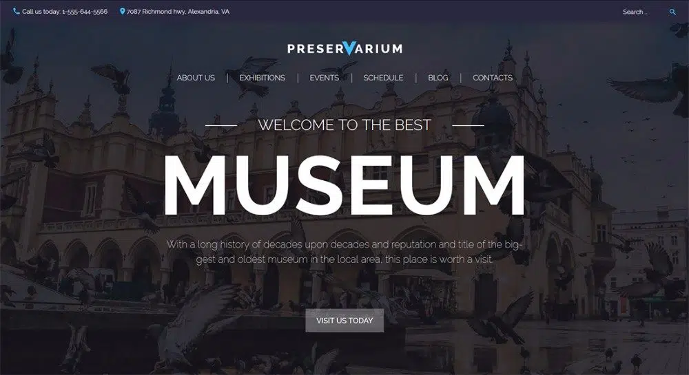 8-National-Museum-Responsive-WordPress-Tema