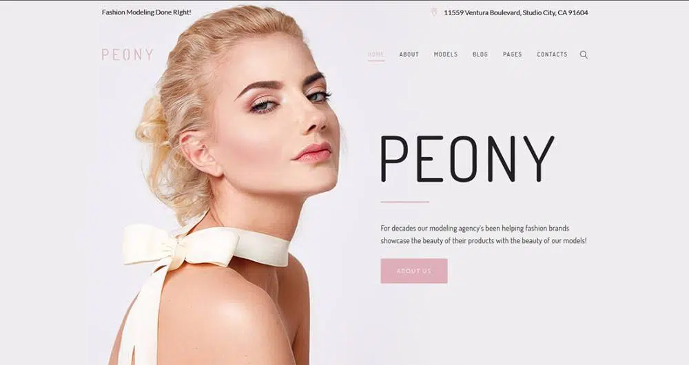 14-Tema-WordPress-per-un-agenzia-di-modellazione