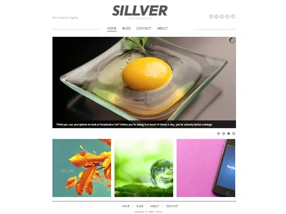 Бесплатный шаблон сайта в фотошопе Silverver