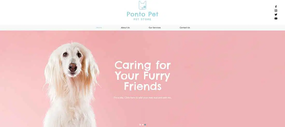 Wix - Modelo de Site de Pet Shop