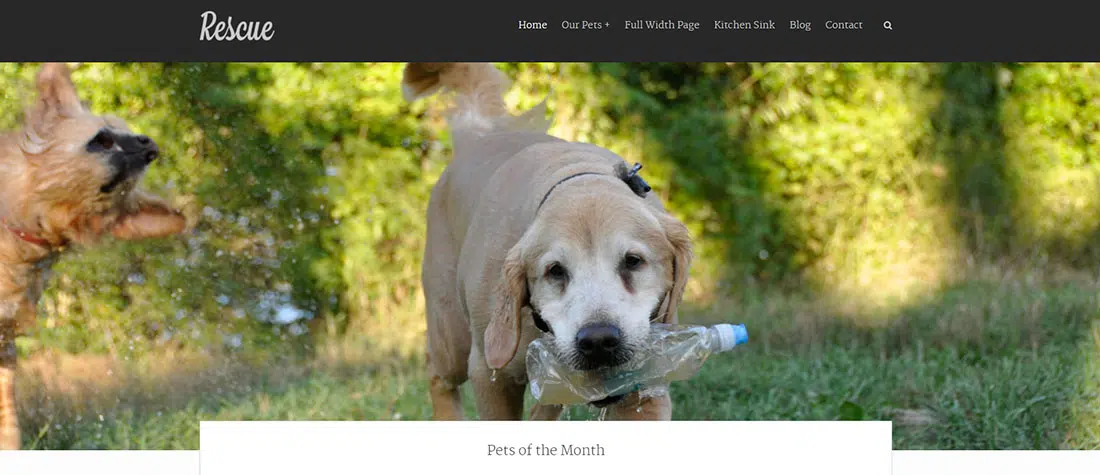 Rescue - Website-Theme für Tierheime