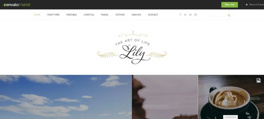 Lily - Bloggers, Reviewers WordPress 主题博客