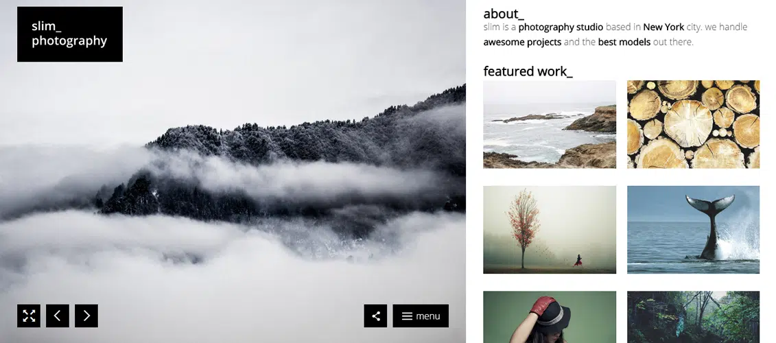 Slim - Tema WordPress Fotografi Segar