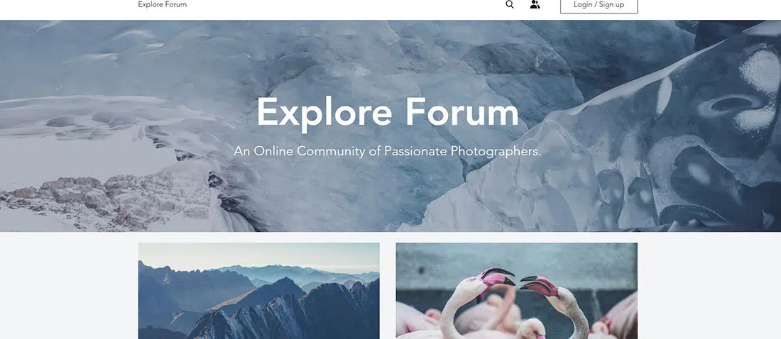 Forum Fotografi - Templat Situs Web Fotografi