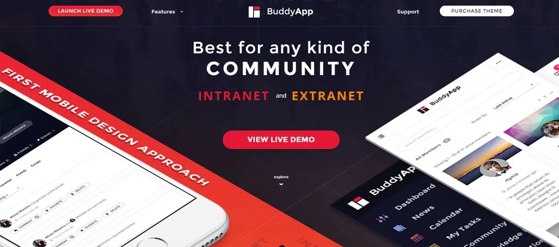 BuddyApp Mobile First Community Tema WordPress