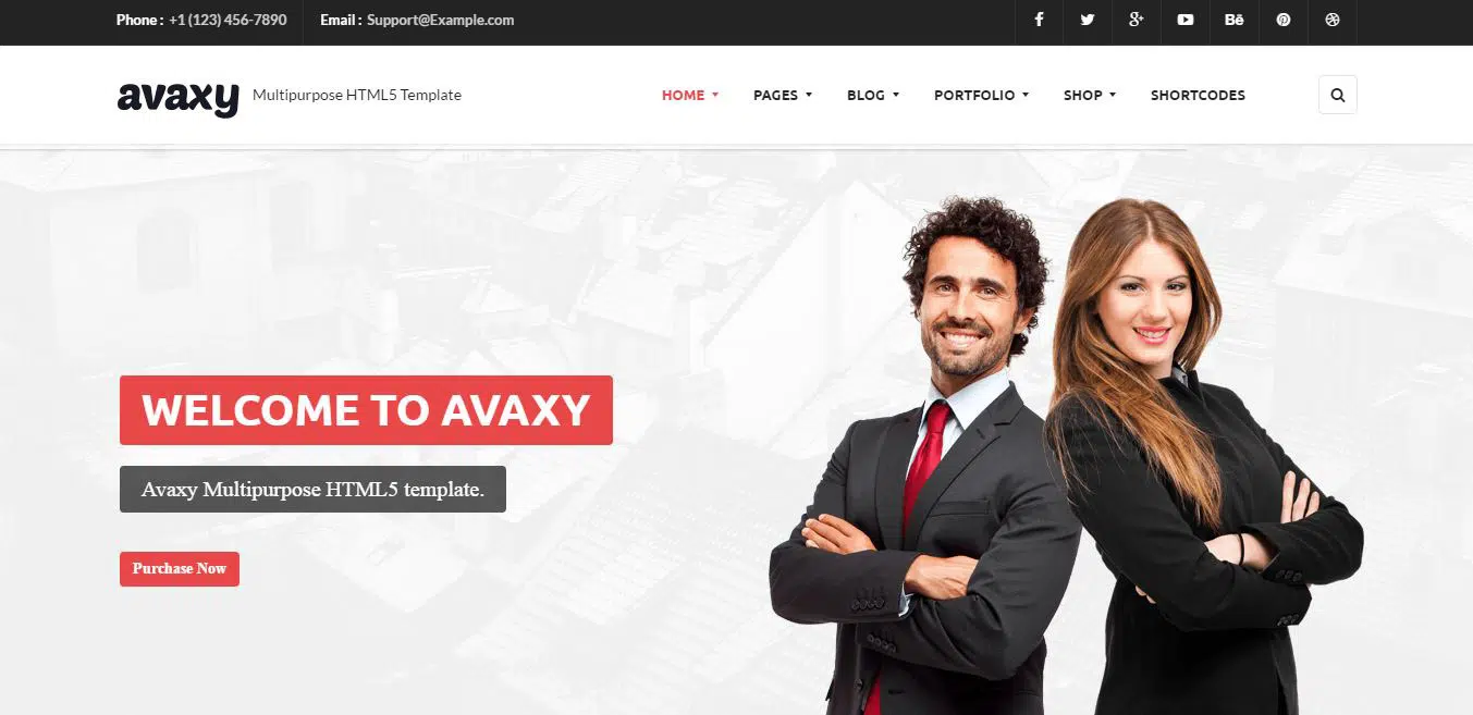 Avaxy Entrepreneur-Theme