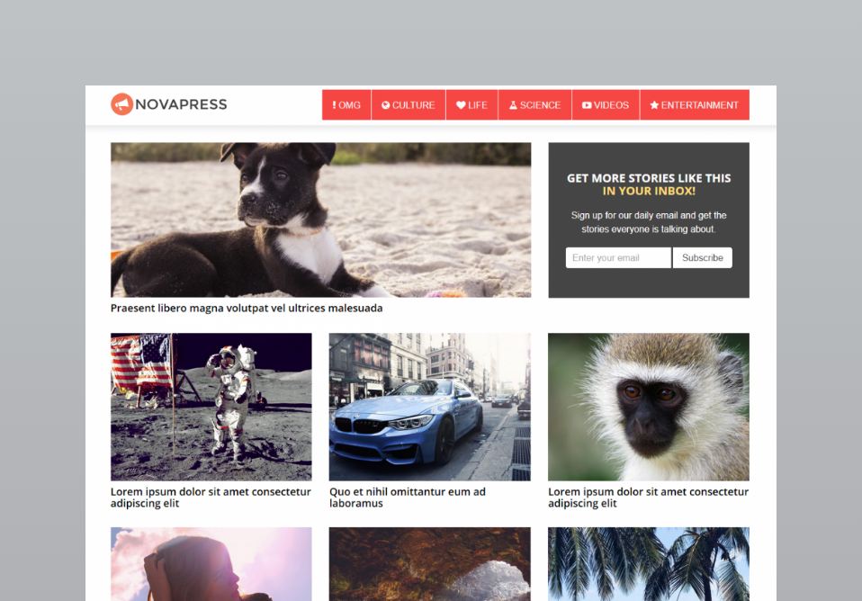 novapress theme Virale Websites