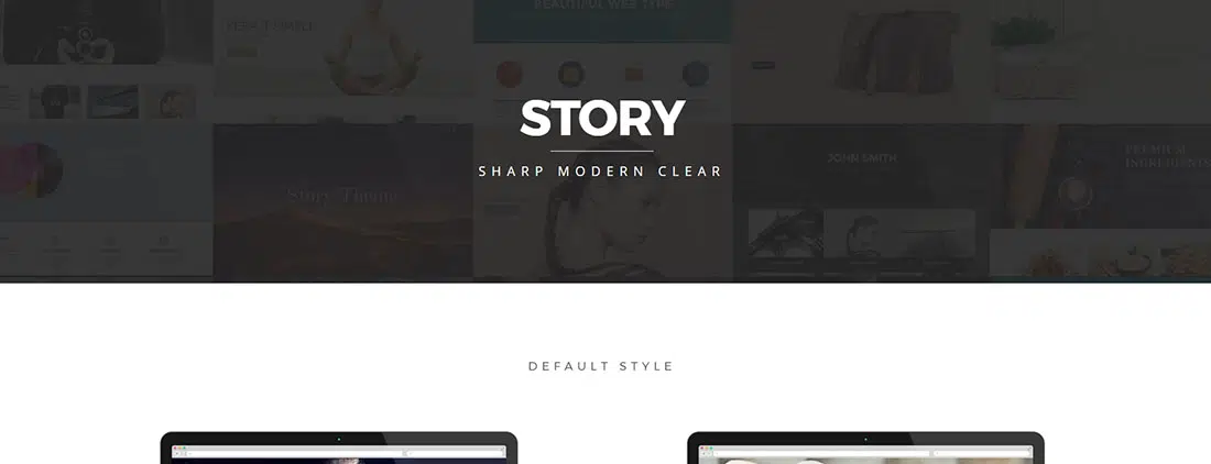 ธีม WordPress พรีเมี่ยมของ Story