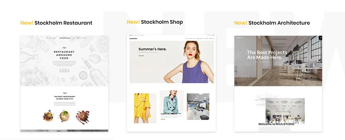 Stockholm Premium-WordPress-Themes