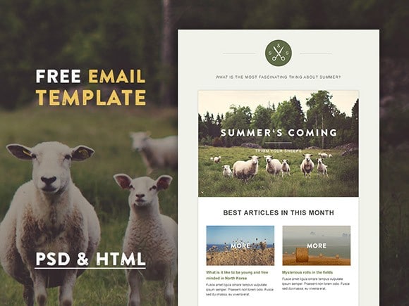 Green Village – szablon e-mail w formacie HTML