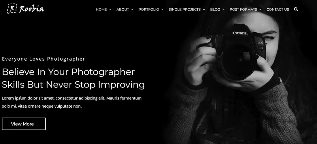 Roobia - Tema WordPress Portofolio