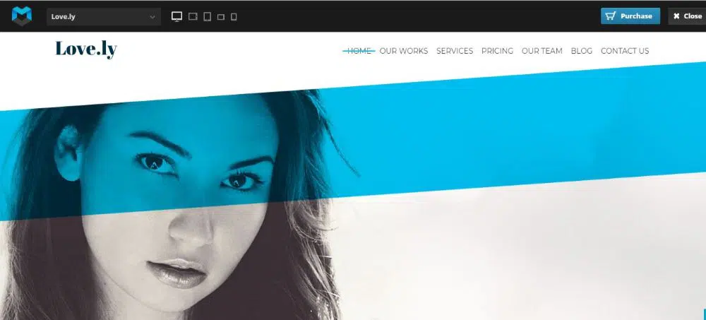 tema love.ly-drupal