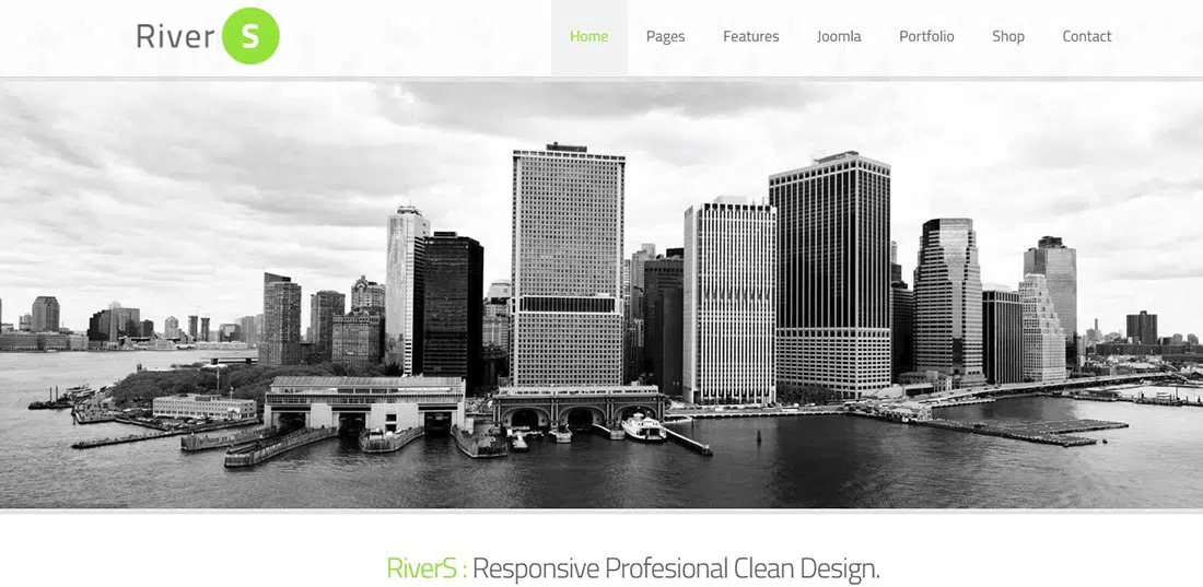 Anteprima del modello Joomla multiuso reattivo di RiverS - ThemeForest