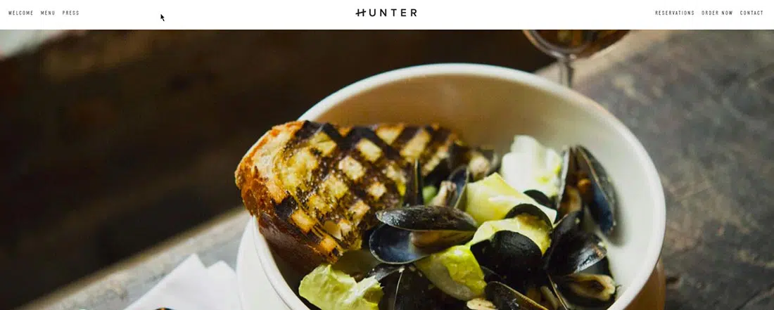 Modelo Hunter Squarespace