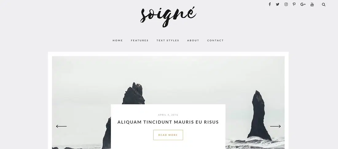 Soigne - سمة مدونة WordPress مستجيبة بالحد الأدنى